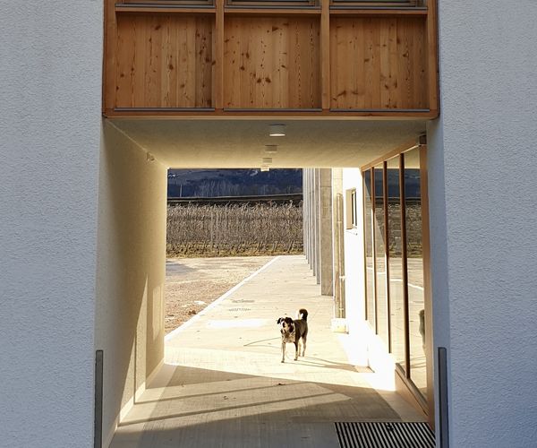 Hofstelle Löwenwirt