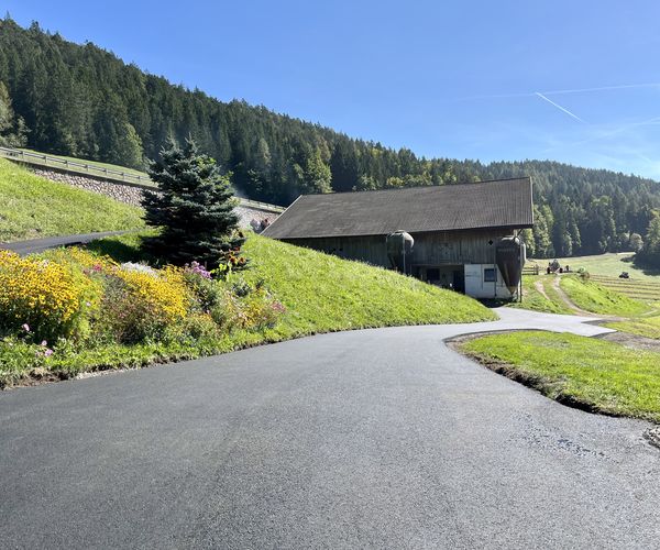 Asphaltierungen Vöran